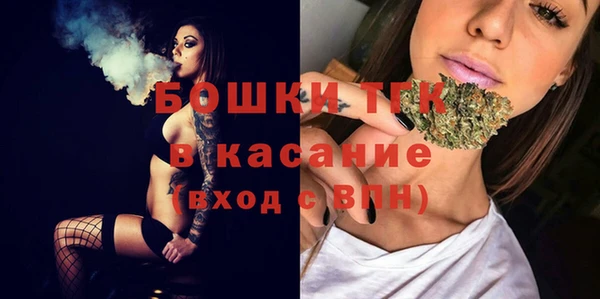 ПСИЛОЦИБИНОВЫЕ ГРИБЫ Алексин