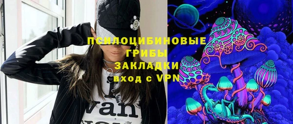 ПСИЛОЦИБИНОВЫЕ ГРИБЫ Алексин
