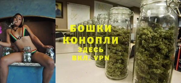 спиды Щёлкино