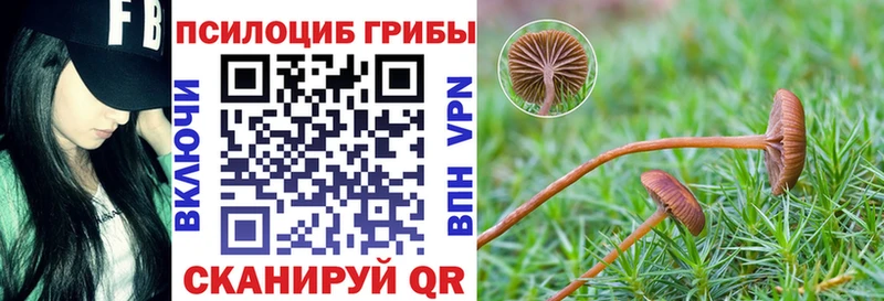 Галлюциногенные грибы Cubensis  Чапаевск 